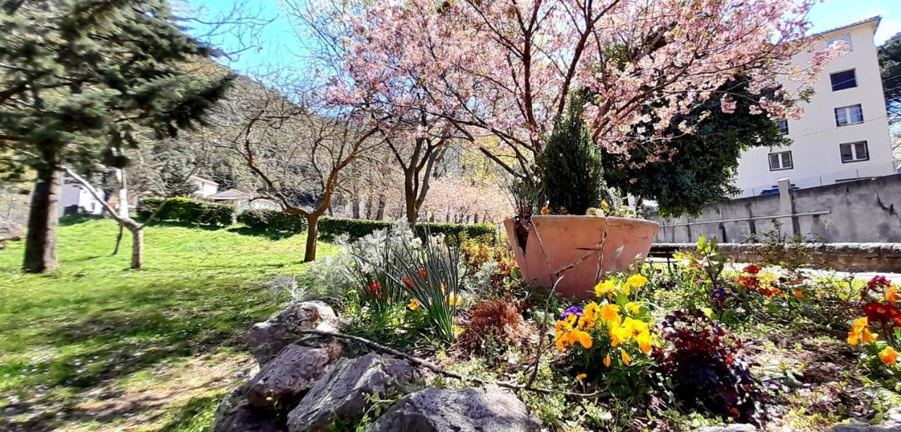 T2 Tout Confort Amelie-les-Bains-Palalda Luaran gambar