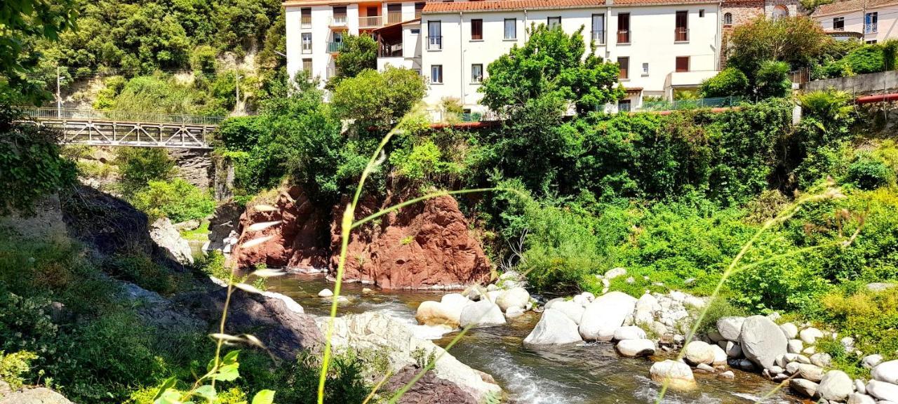 T2 Tout Confort Amelie-les-Bains-Palalda Luaran gambar